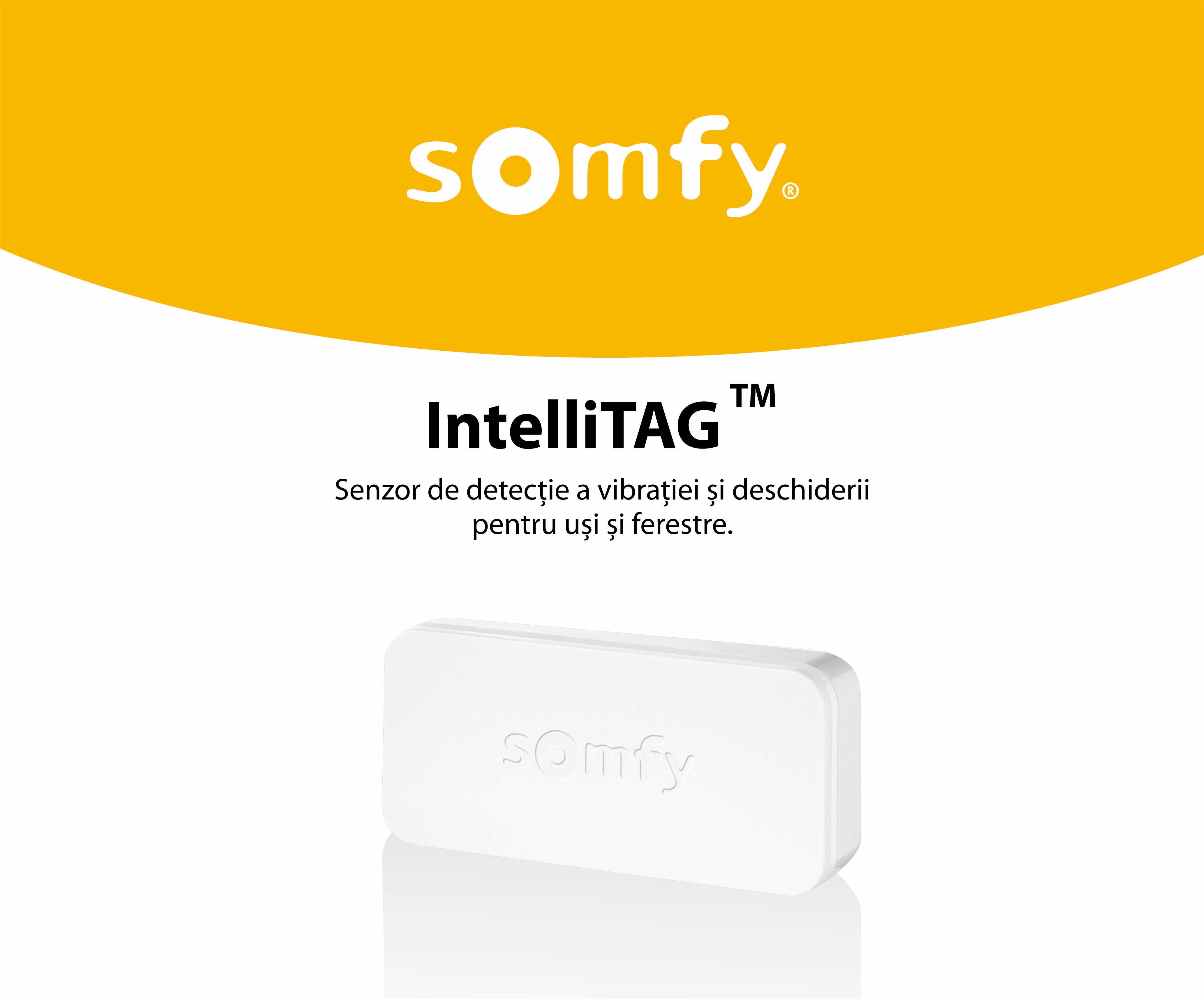 Intellitag™  Senzor pentru usa/fereastra interior sau exterior, Compatibil cu Somfy One, One+, Home Alarm