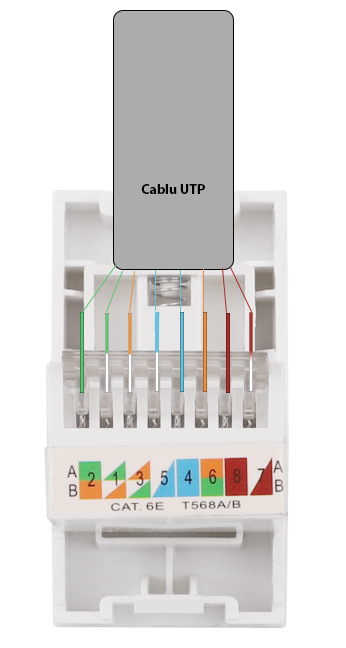 Modul Priza Internet 1M LUXION, Standard Italian