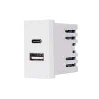 Modul Priza USB A+C 1M LUXION, Standard Italian