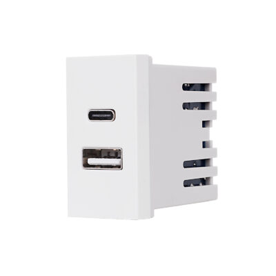 Modul Priza USB A+C 1M LUXION, Standard Italian