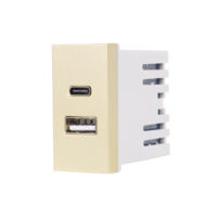 Modul Priza USB A+C 1M LUXION, Standard Italian culoare aurie
