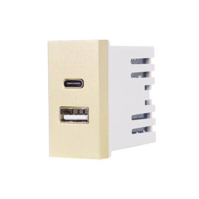 Modul Priza USB A+C 1M LUXION, Standard Italian culoare aurie