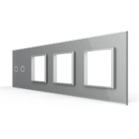 Panou Intrerupator Dublu + 3 Prize LIVOLO din Sticla, Standard German culoare gri
