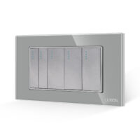 Intrerupator Mecanic 5 Posturi LUXION cu Rama din Sticla, Standard Italian, 4M culoare gri