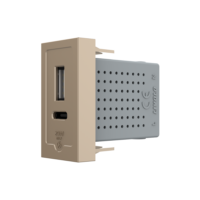 Modul Priza USB-A + USB-C, 20W LIVOLO culoare aurie