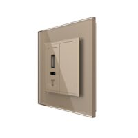 Priza USB-A + USB-C cu Rama Din Sticla si Tasta Falsa LIVOLO culoare aurie