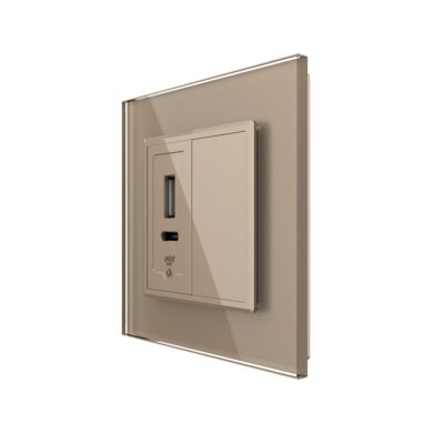 Priza USB-A + USB-C cu Rama Din Sticla si Tasta Falsa LIVOLO culoare aurie