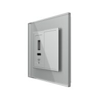 Priza USB-A + USB-C cu Rama Din Sticla si Tasta Falsa LIVOLO culoare gri