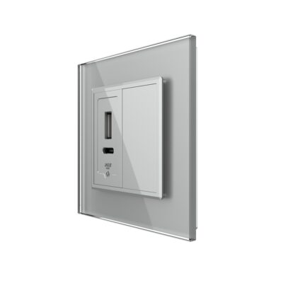 Priza USB-A + USB-C cu Rama Din Sticla si Tasta Falsa LIVOLO culoare gri