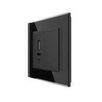 Priza USB-A + USB-C cu Rama Din Sticla si Tasta Falsa LIVOLO culoare neagra