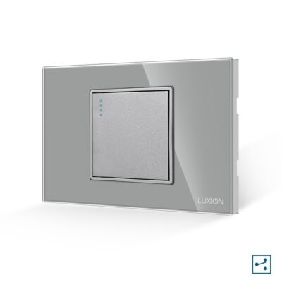 Intrerupator Simplu Cap Scara Mecanic LUXION cu Rama din Sticla, Standard Italian, 2/3M culoare gri
