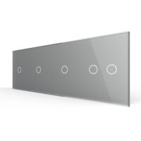 Panou Intrerupator Simplu + Simplu + Simplu + Dublu cu Touch LIVOLO din Sticla culoare gri