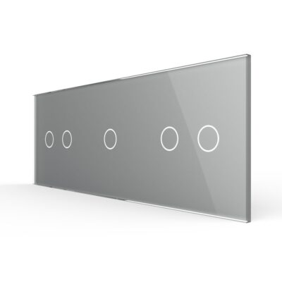 Panou Intrerupator Dublu + Simplu + Dublu cu Touch LIVOLO din Sticla culoare gri