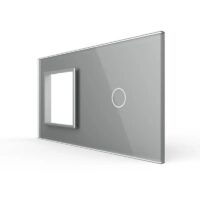 Panou Priza Simpla + Intrerupator Simplu cu Touch LIVOLO din Sticla culoare gri